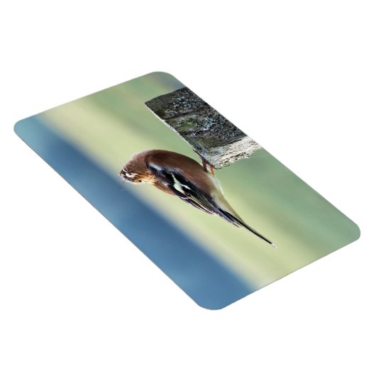 CHAFFINING MAGNET (Rechte Seite)