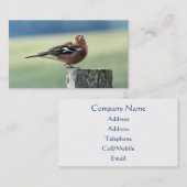 CHAFFINING VISITENKARTE (Vorne/Hinten)