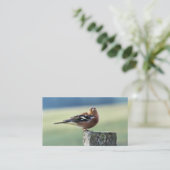 CHAFFINING VISITENKARTE (Stehend Vorderseite)