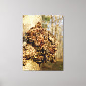 Chaga Mushroom Canvas Print Leinwanddruck (Vorderseite)