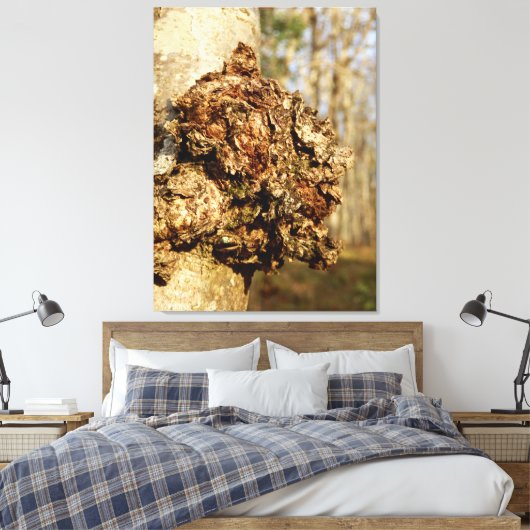 Chaga Mushroom Canvas Print Leinwanddruck (Insitu (Schlafzimmer))
