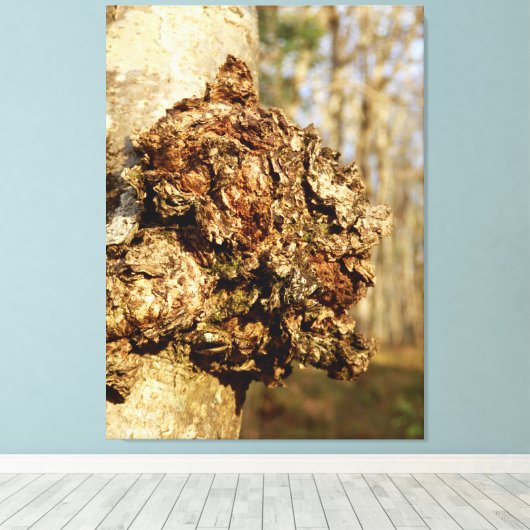 Chaga Mushroom Canvas Print Leinwanddruck (Insitu (Holzboden))