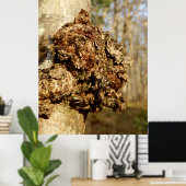 Chaga Mushroom Poster (Heimbüro)