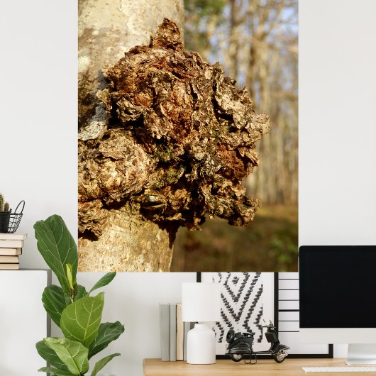 Chaga Mushroom Poster (Heimbüro)