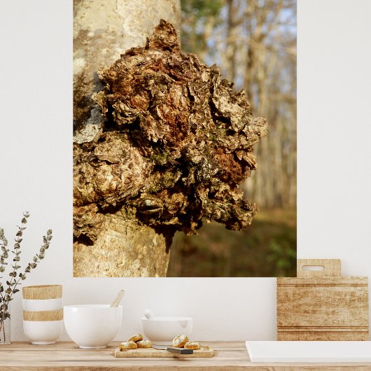 Chaga Mushroom Poster (Küche)