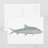 Chaguni Postkarte (Vorne/Hinten)