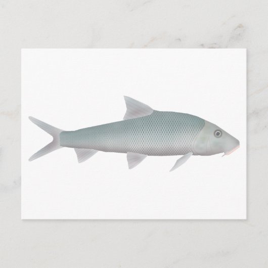 Chaguni Postkarte (Vorderseite)