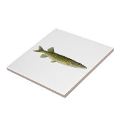 Chain Pickerel Illustration Fliese (Seite)