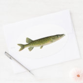 Chain Pickerel Illustration Ovaler Aufkleber (Umschlag)