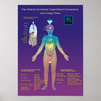 Chakra Organ / Land und Energie Fluss Poster