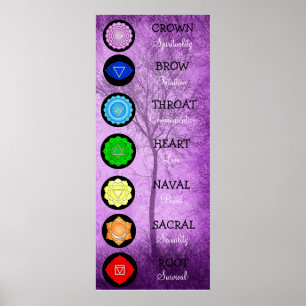 Chakras Center Chart Chi Energy Poster