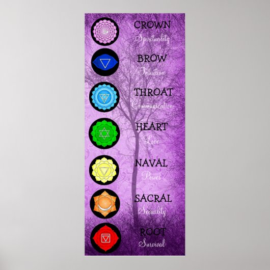 Chakras Center Chart Chi Energy Poster (Vorne)