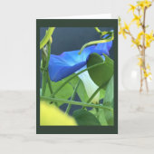 Chalice-of-Blue Morning Glory Blank  Karte (Gelbe Blume)