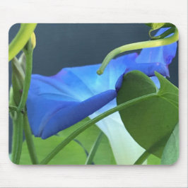 Chalice-of-Blue Morning Glory Close-up Mousepad