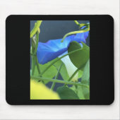 Chalice-of-Blue Morning Glory Mousepad (Vorne)