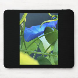 Chalice-of-Blue Morning Glory Mousepad