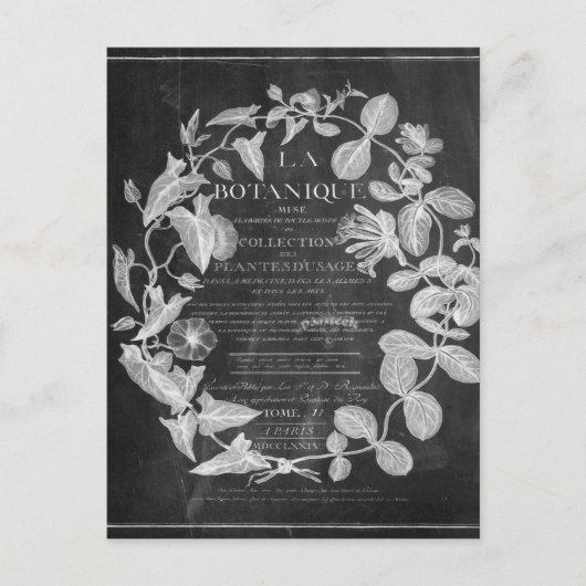 Chalkboard-Skripte: französische botanische Kunstf Postkarte (Vorderseite)