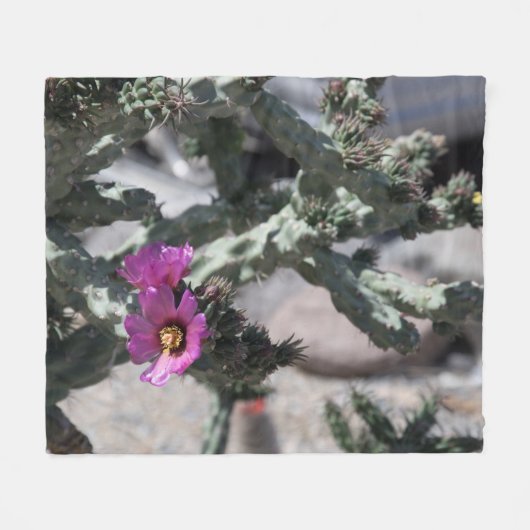 Challa Cactus in Blüte Fleecedecke (Vorderseite (Horizontal))