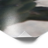 Challa Cactus in Blüte Fotodruck (Ecke)