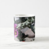 Challa Cactus in Blüte Kaffeetasse (Mittel)