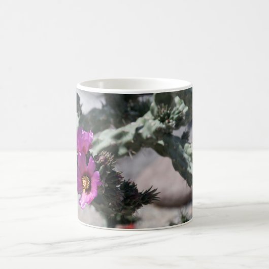 Challa Cactus in Blüte Kaffeetasse (Mittel)