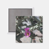 Challa Cactus in Blüte Magnet (Vorderseite/Rückseite)