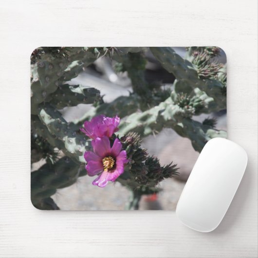 Challa Cactus in Blüte Mousepad (Mit Mouse)