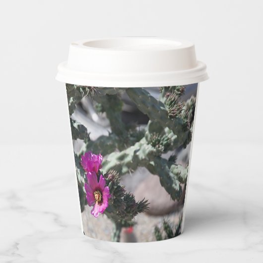 Challa Cactus in Blüte Pappbecher (Rückseite)