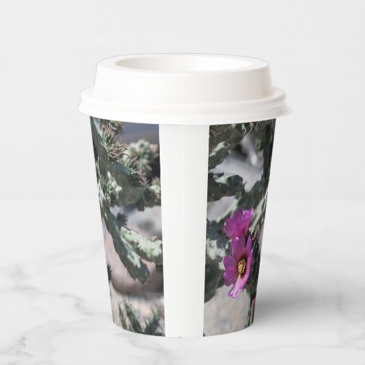 Challa Cactus in Blüte Pappbecher (Rechts)