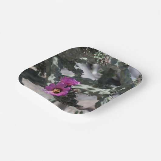 Challa Cactus in Blüte Pappteller (Gewinkelt)