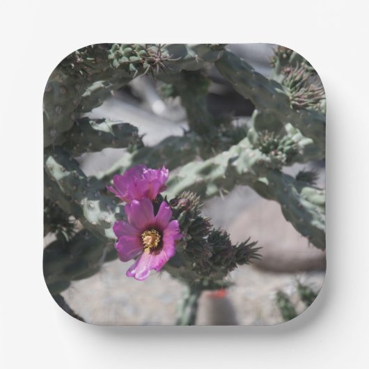 Challa Cactus in Blüte Pappteller (Vorderseite)