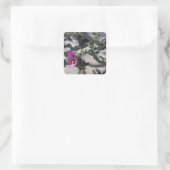 Challa Cactus in Blüte Quadratischer Aufkleber (Tasche)