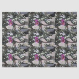 Challa Cactus in Blüte Seidenpapier