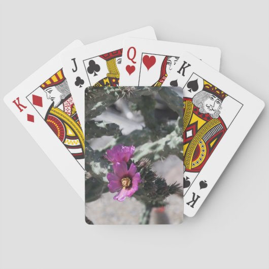 Challa Cactus in Blüte Spielkarten (Rückseite)
