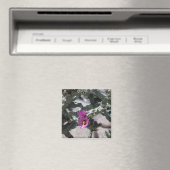 Challa Kaktus in Blüte Magnet (In Situ (Geschirrspüler))