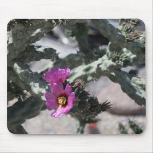 Challa-Kaktus in Blüte Mousepad