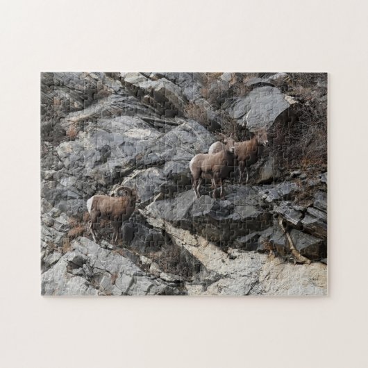 Challenging Bighorn Sheep Georgetown Colorado Puzzle (Horizontal)