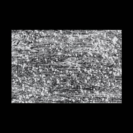 Challenging Black and White Puzzle