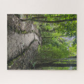 Challenging walk through Guatemalan rain forest Puzzle (Horizontal)