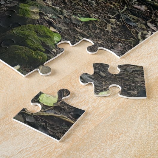 Challenging walk through Guatemalan rain forest Puzzle (Seite)