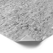 Chalmette-Denkmal: 1900 Poster (Ecke)