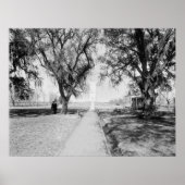 Chalmette-Denkmal: 1900 Poster (Vorne)