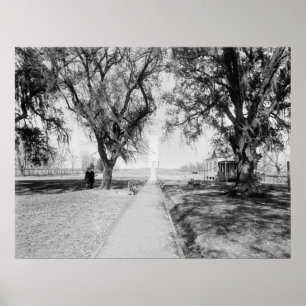 Chalmette-Denkmal: 1900 Poster