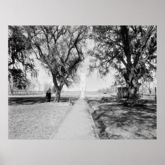 Chalmette-Denkmal: 1900 Poster (Vorne)