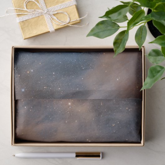 Chamaeleon I Dark Cloud Seidenpapier (Geschenk)