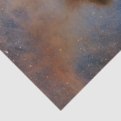 Chamaeleon I Dark Cloud Seidenpapier (Detail)