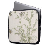 Chamaemelum nobile Allioni, c.1568 Laptopschutzhülle (Vorderseite Links)
