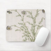 Chamaemelum nobile Allioni, c.1568 Mousepad (Mit Mouse)
