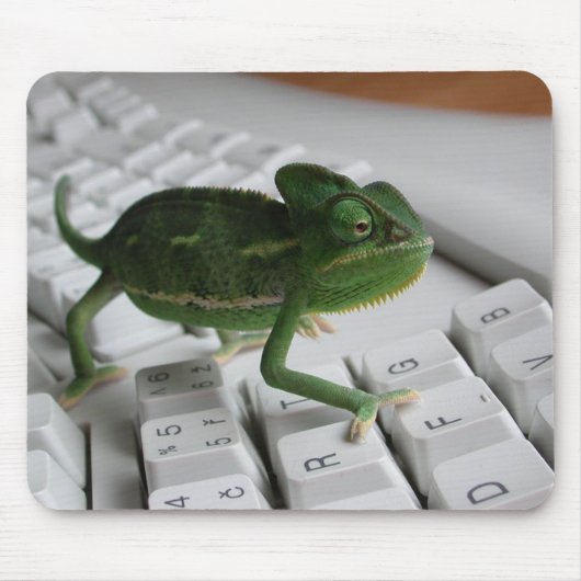 Chamäleon auf Tastatur Mousepad (Vorne)