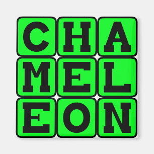 Chamäleon, Farbwechselndes Reptil Magnet